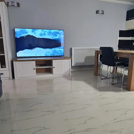 Edi's Apartments-cozy In The Center Daire Tiran